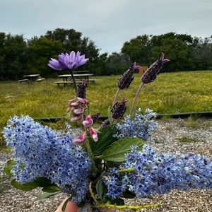 Welcome 🧚♂️☺️